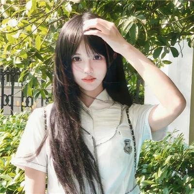 同居人是猫
